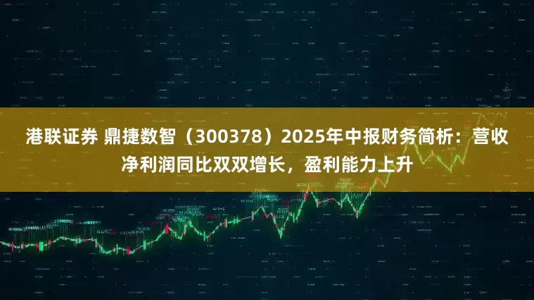 港联证券 鼎捷数智（300378）2025年中报财务简析：营收净利润同比双双增长，盈利能力上升